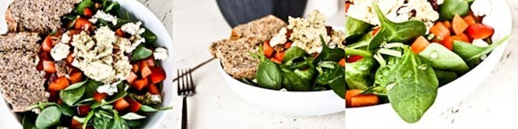 Salad-2Blog