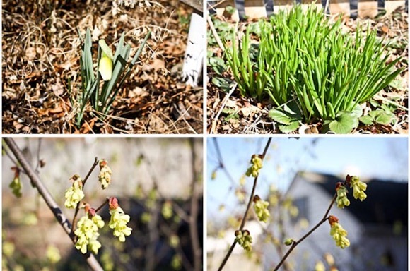 SpringBlog