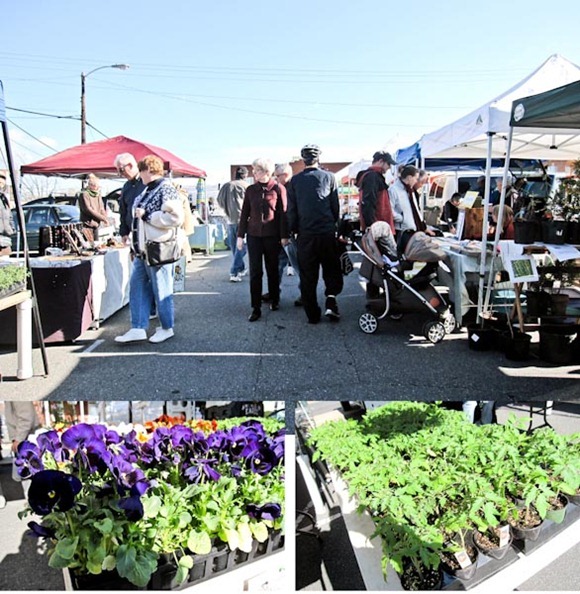 FarmersmarketBlog