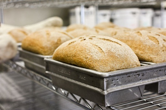 IMG_9616Blog