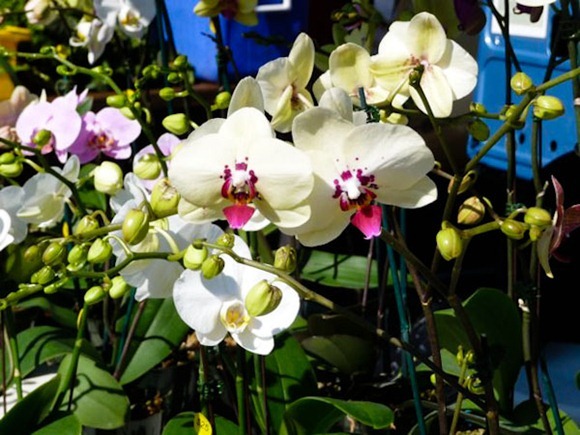P1040971Blog
