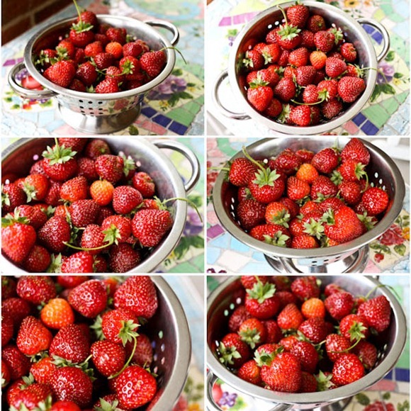 Strawbs-2Blog