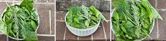 GreensBlog