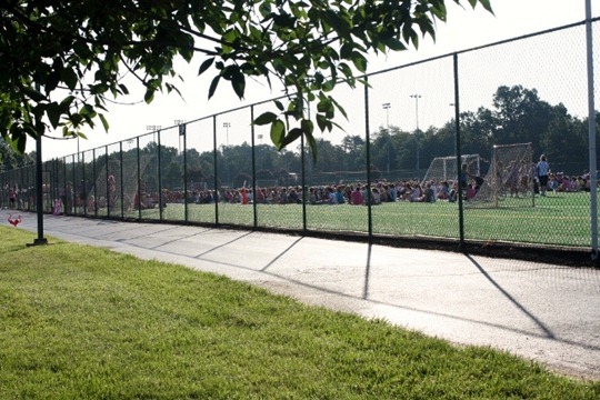 IMG_2017 (640x427)