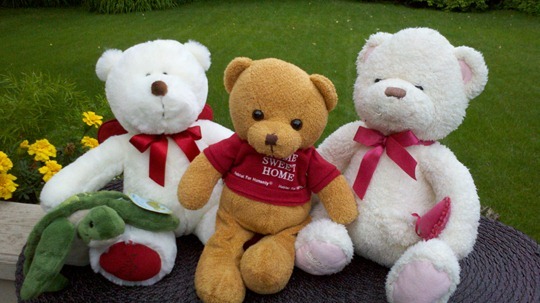 bears2