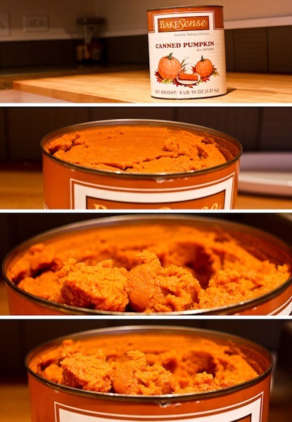 pumpkin-2Blog