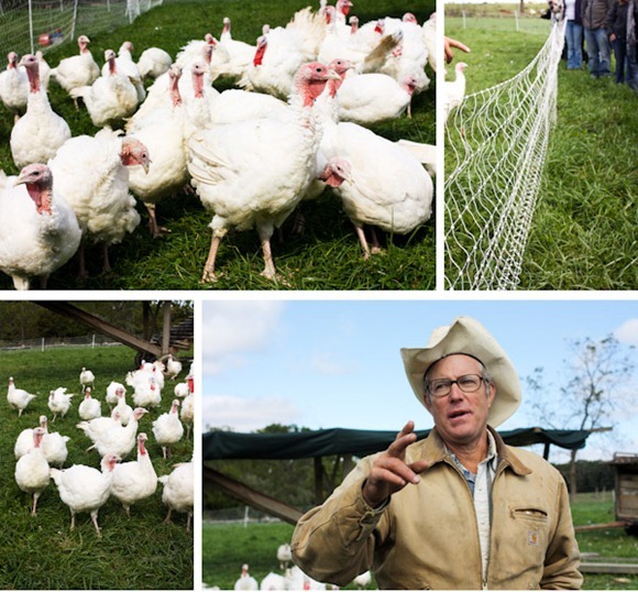 TurkeyBlog