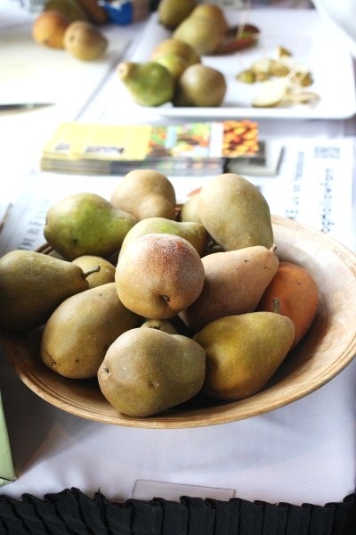 IMG_0412 (400x600)