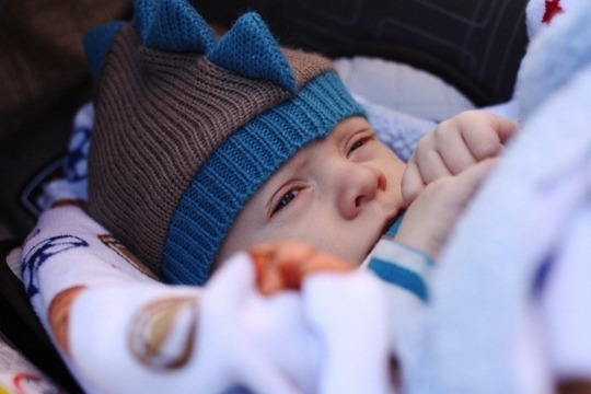 IMG_5868 (550x367)