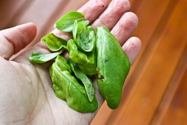 IMG_9683-2Blog