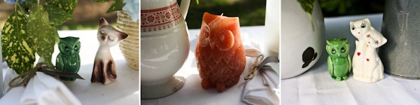Owls