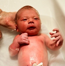 IMG_5187_thumb2