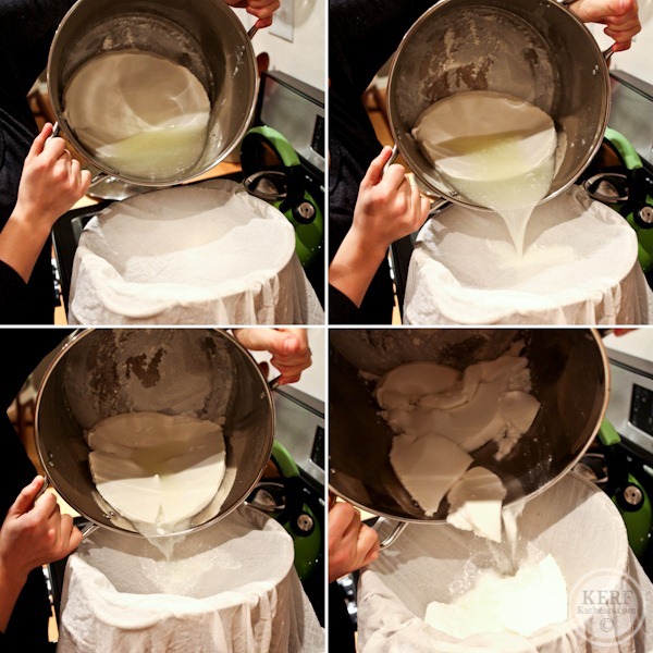 Foodblog-