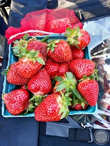Foodblog-082326