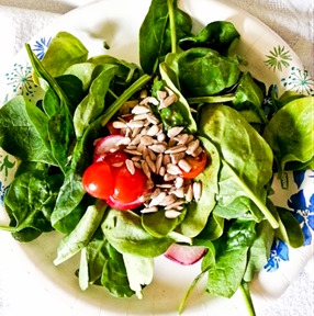 Foodblog-124429