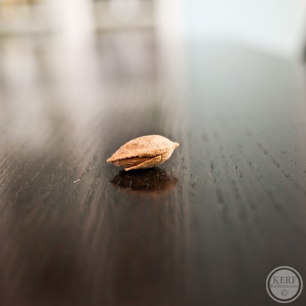 Foodblog-5404