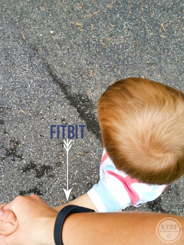 Fitbit3[2]