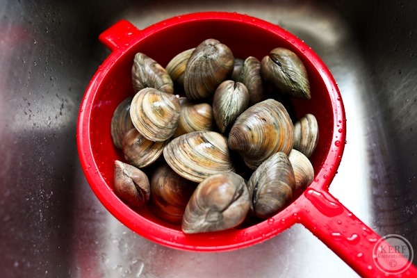 Foodblog-9530