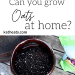 oats at home graphic