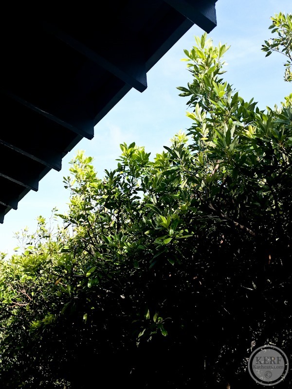 Foodblog-07-2