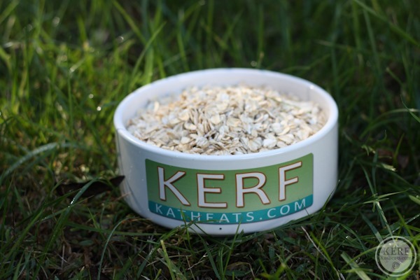 bowl of rolled oats