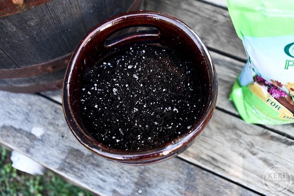 pot with soil