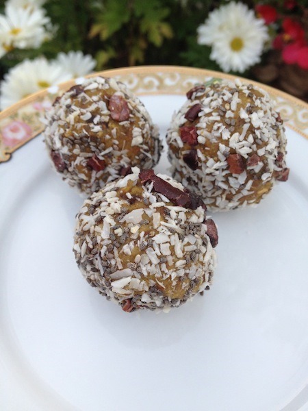 Chocolate Protein Bliss Balls