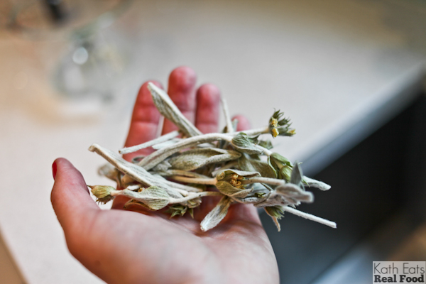 organic herbal tea