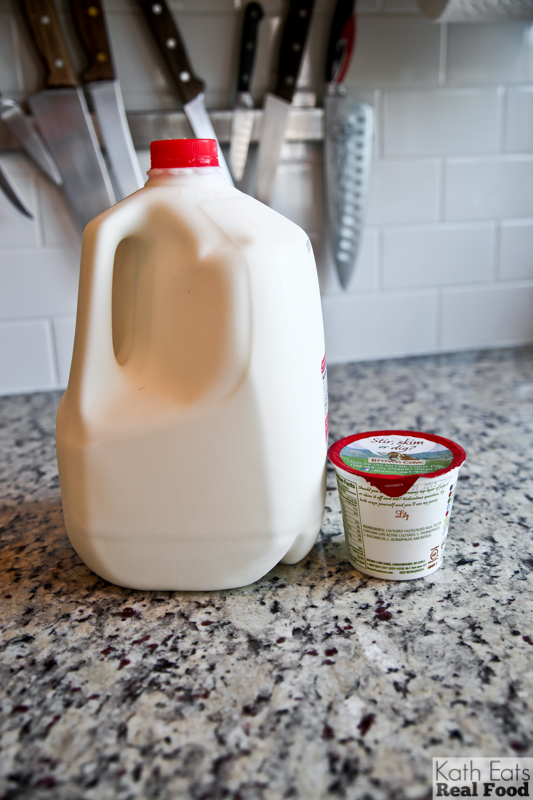 gallon of milk and yogurt