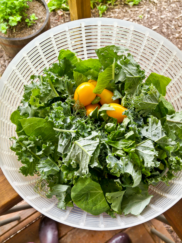 Foodblog (6 of 14)