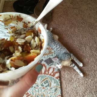 frugalfoodiefrank