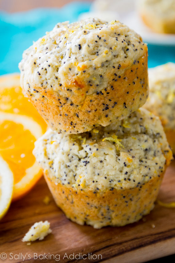 Sallysbakingaddiction.com_