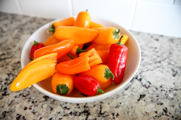 Foodblog-3016
