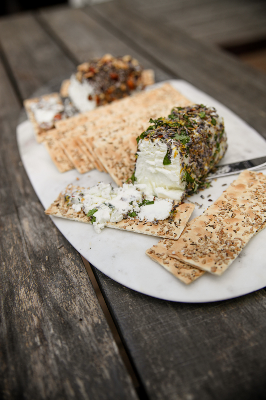 Cheese Logs | Holiday Potluck Appetizers