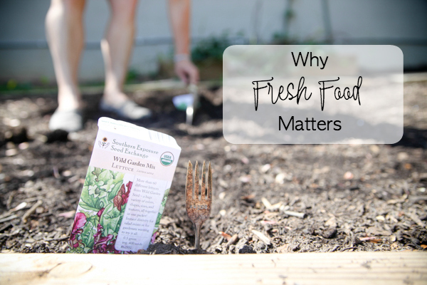 Why Fresh Food Matters