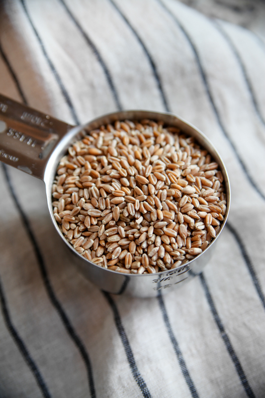 Foodblog (1 of 18)