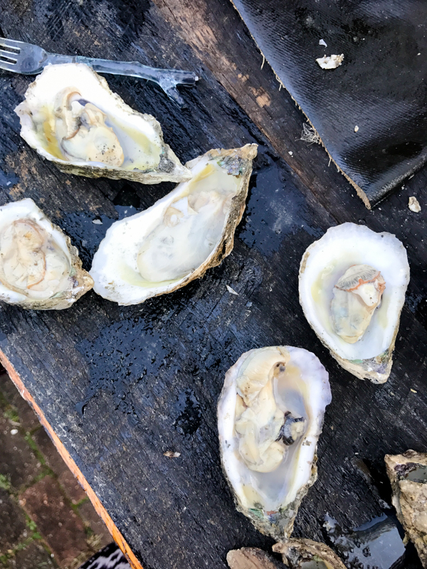 foodblog-3-of-15