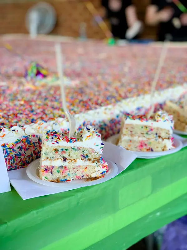 giant 10' sprinkle layer cake