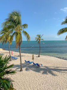 tranquility bay beach