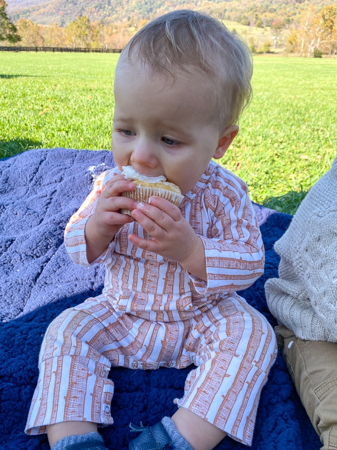 baby eating cupcake - first birthday at King Family Vineyards