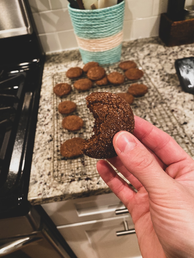 ginger cookie