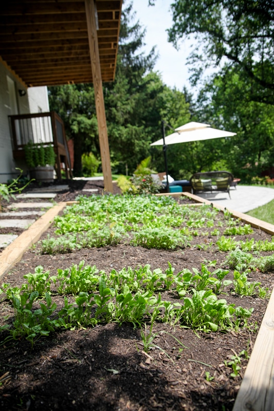 gardening at home