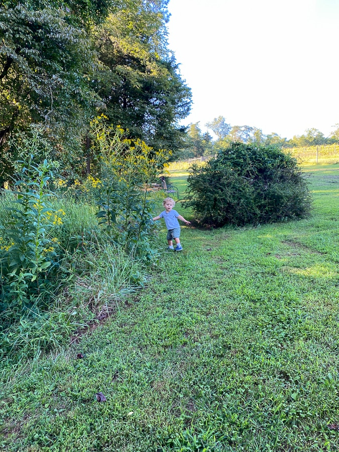 toddler playing at Meriwether Springs