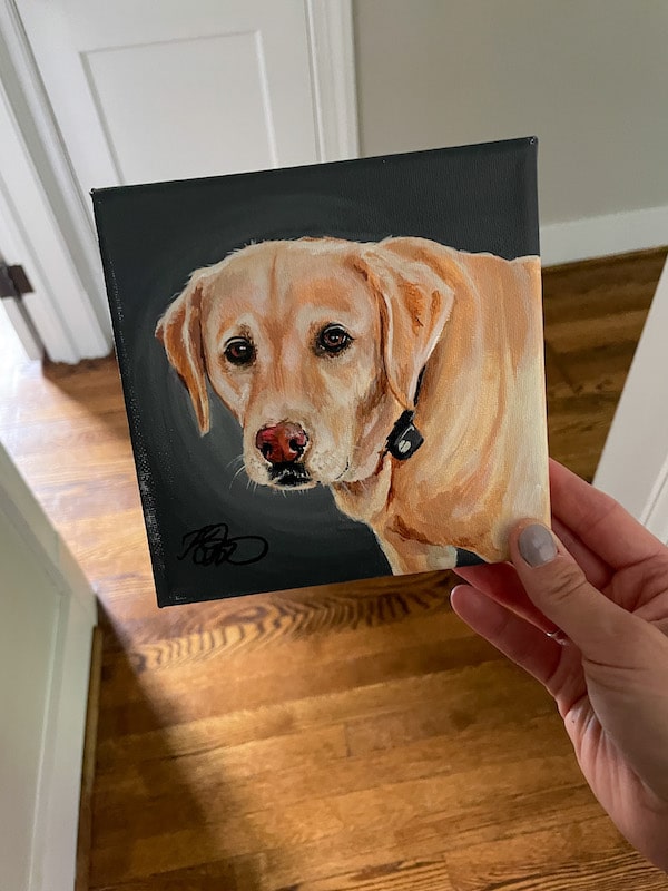 portrait of gus the dog from Chewy