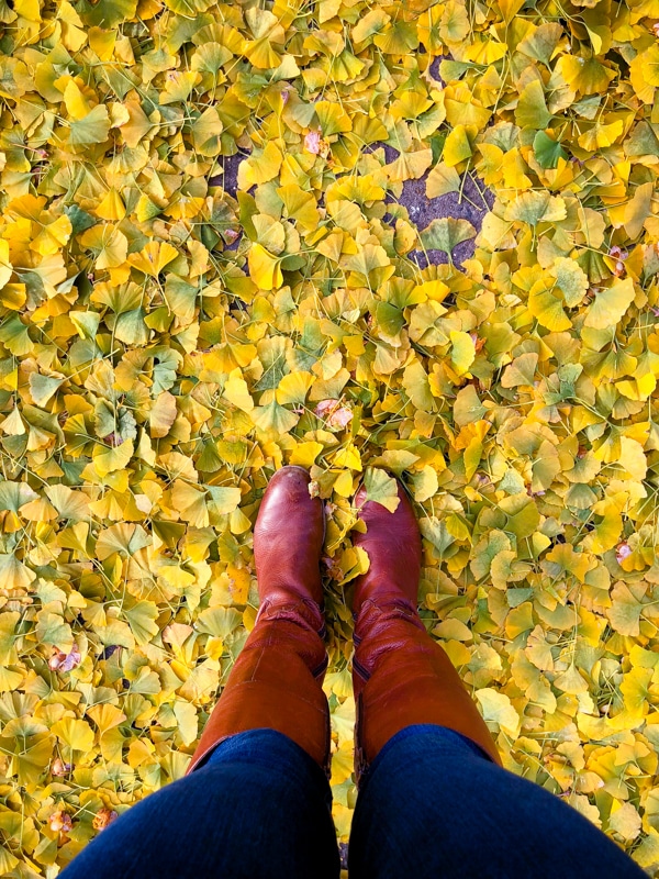 Fall leaves & boots: getting back to healthy