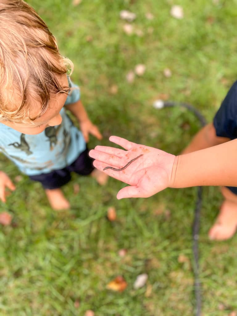 kids worm holding