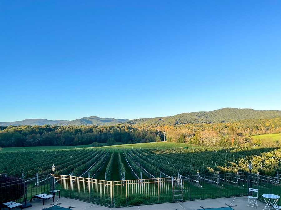 View at The Inn At Stinson Vineyards