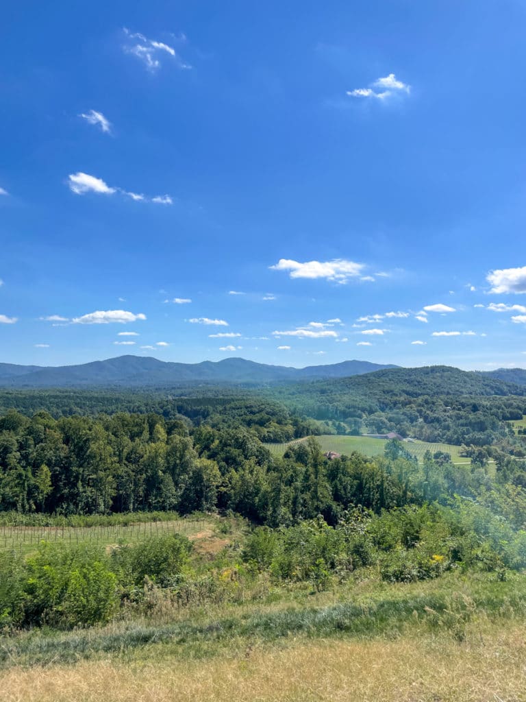 Hazy Mountain Vineyards & Brewery in Crozet | Whats New in KERF Land