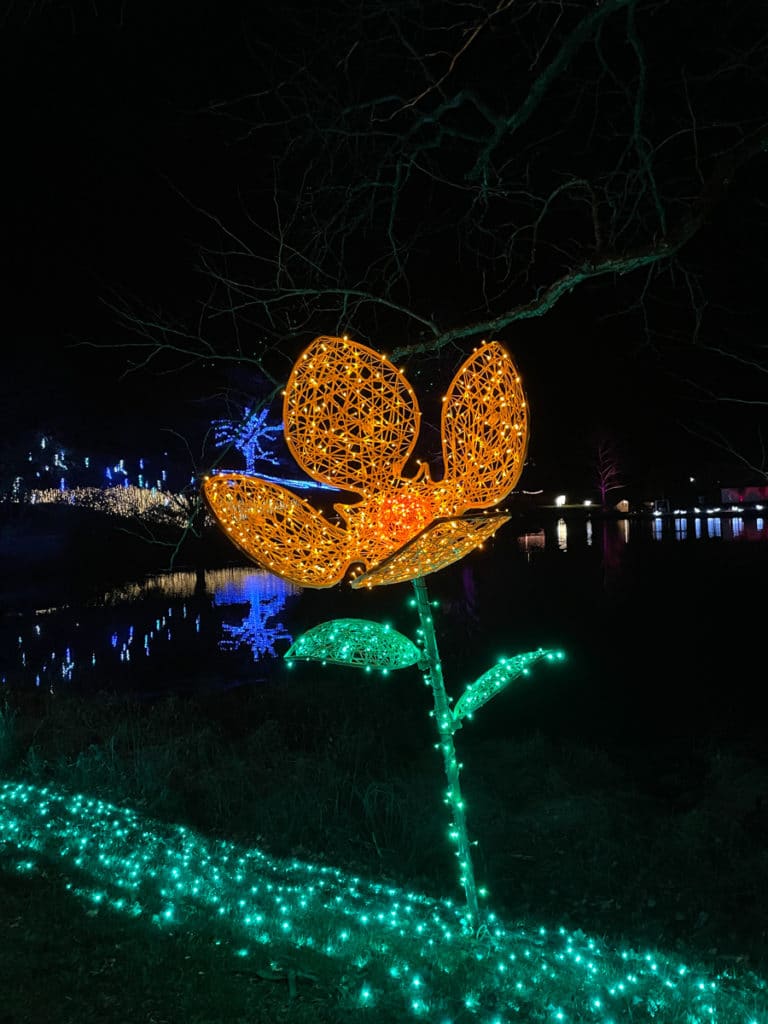 Winter Wander Trail Of Lights magical views