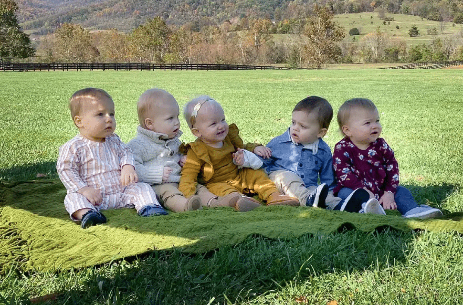 5 babies on the grass